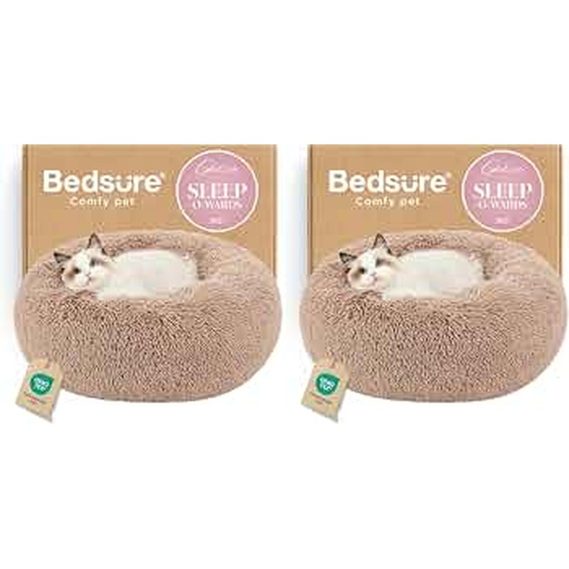 Best Cat Beds