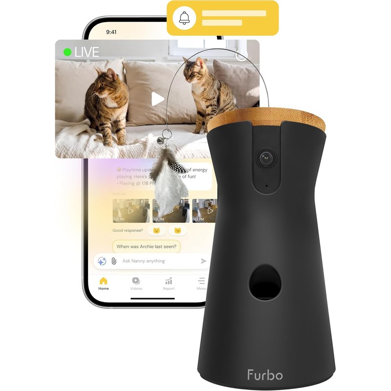 Best Cat Cameras