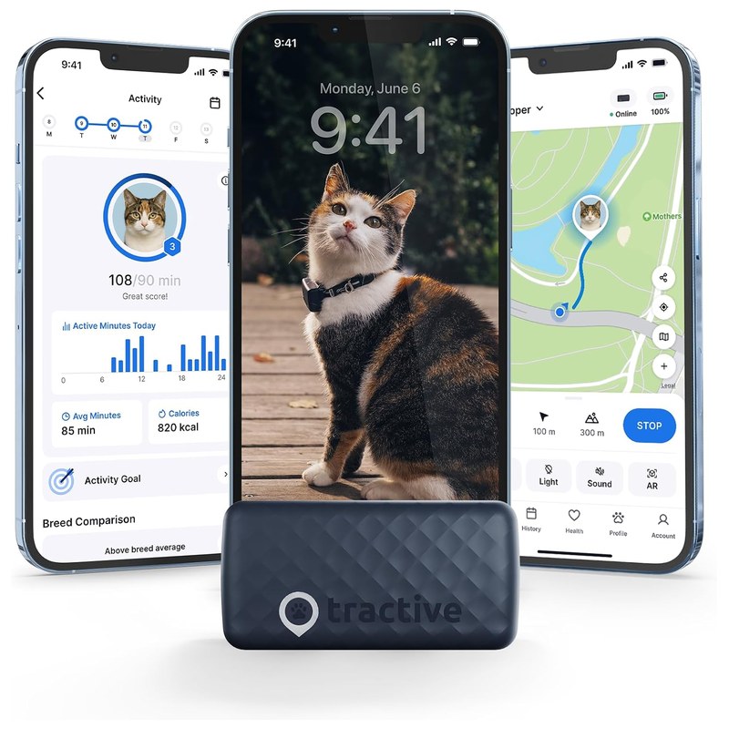 Tractive Vs Airtag For Cats