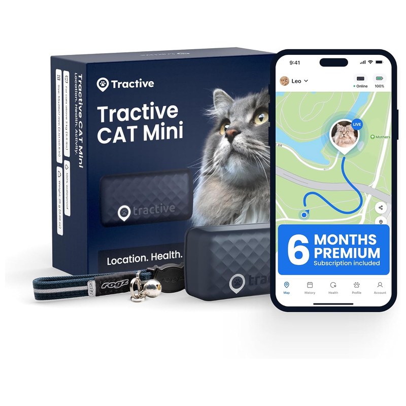 Best Gps Trackers For Cats