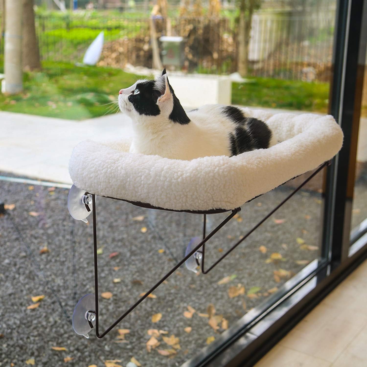 Best Cat Window Perches