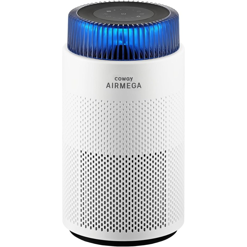 Air Purifier Filter Replacement Cost Guide