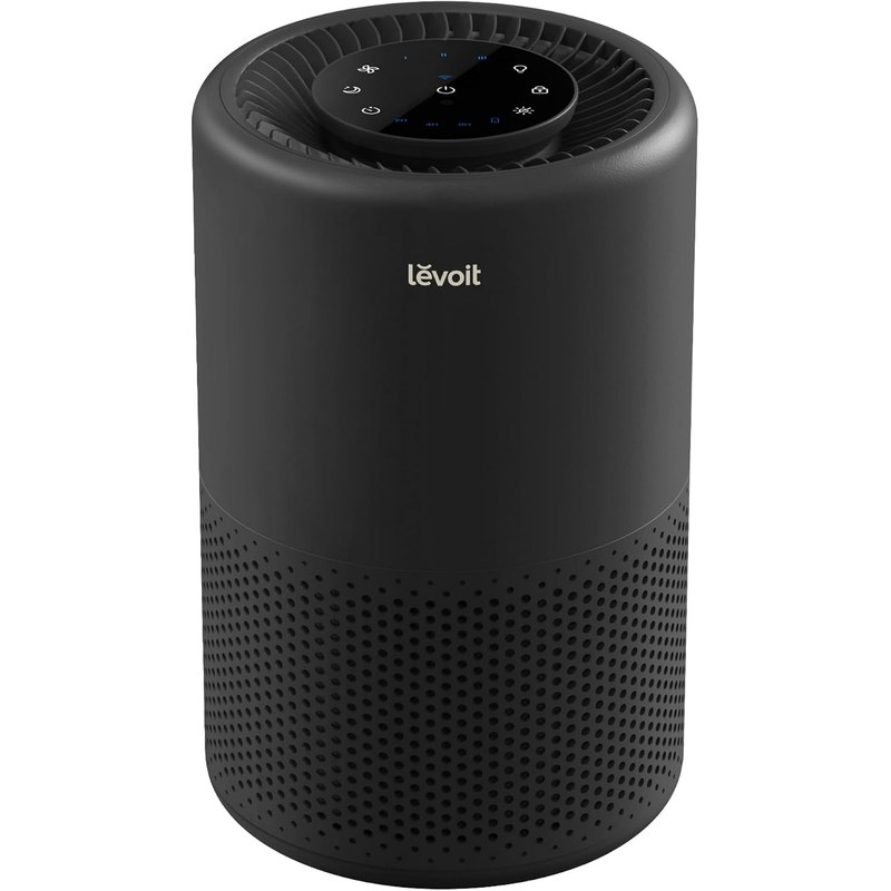 Best Air Purifiers for Small Apartments With Cats