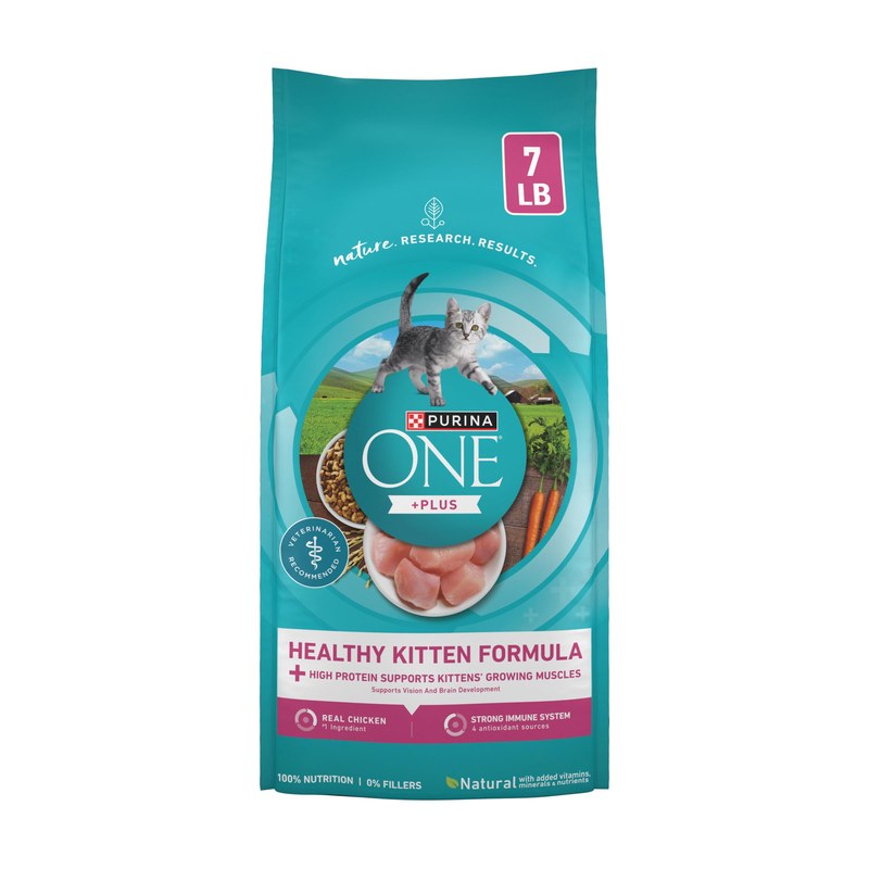 Best Kitten Food